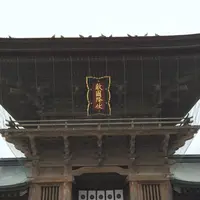 筥崎宮の写真・動画_image_410151