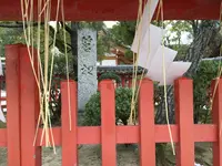 筥崎宮の写真・動画_image_410154