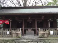 筥崎宮の写真・動画_image_410155