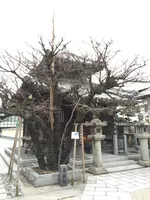 恵光院燈籠堂の写真・動画_image_410162