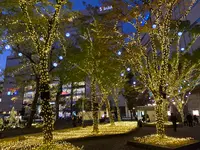 警固公園の写真・動画_image_410246