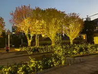 警固公園の写真・動画_image_410247