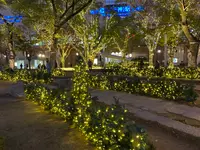 警固公園の写真・動画_image_410248