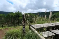 えびの高原の写真・動画_image_410487