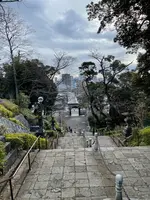 池上本門寺の写真・動画_image_410501