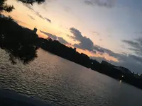 大濠公園の写真・動画_image_410805
