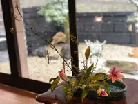 発酵カフェ小春日和の写真・動画_image_410924