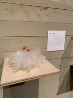 鞆の津ミュージアムの写真・動画_image_411000