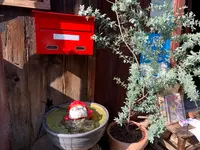 松右衛門帆の写真・動画_image_411010