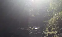 高千穂峡の写真・動画_image_411137