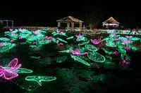東南植物楽園の写真・動画_image_411298