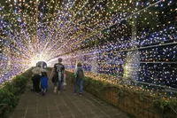 東南植物楽園の写真・動画_image_411299