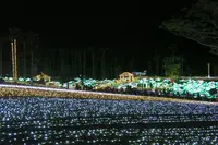 東南植物楽園の写真・動画_image_411301
