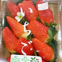 土山SA 上りの写真・動画_image_411343