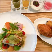 イタリア料理ルッチコーレの写真・動画_image_411576