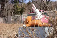 ～河口湖～ 富士山パノラマロープウェイ（Mt. FUJI PANORAMIC ROPEWAY）の写真・動画_image_411622