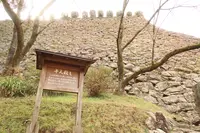 城山公園の写真・動画_image_411697