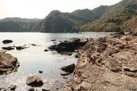 須美江海水浴場の写真・動画_image_411752