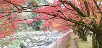 青井岳自然公園の写真・動画_image_412282