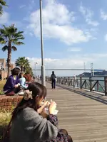 唐戸市場の写真・動画_image_412610