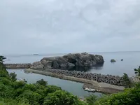 花房商店の写真・動画_image_412618