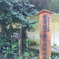 蕎麦処きしがみの写真・動画_image_412810