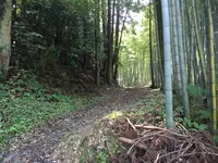 蕎麦処きしがみの写真・動画_image_412815