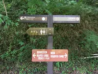 蕎麦処きしがみの写真・動画_image_412817