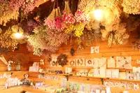 ダマスクの風 CAFEの写真・動画_image_412840