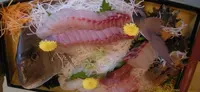 浦島の写真・動画_image_413015