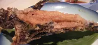 浦島の写真・動画_image_413017