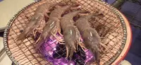 浦島の写真・動画_image_413018