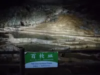 秋芳洞の写真・動画_image_413278