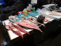 唐戸市場の写真・動画_image_413283