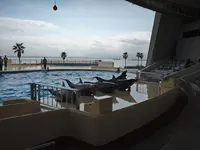 マリンワールド海の中道の写真・動画_image_413292