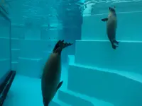 マリンワールド海の中道の写真・動画_image_413296