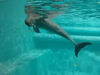 マリンワールド海の中道の写真・動画_image_413297