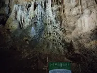 秋芳洞の写真・動画_image_413300