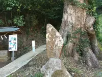 伊豆山神社の写真・動画_image_413408