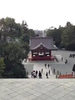 鶴岡八幡宮の写真・動画_image_413464