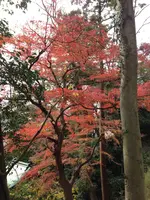 源頼朝の墓の写真・動画_image_413471