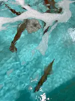 道の駅北浦街道豊北の写真・動画_image_413496