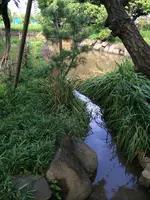 聖蹟蒲田梅屋敷公園の写真・動画_image_413649