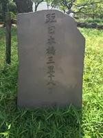 聖蹟蒲田梅屋敷公園の写真・動画_image_413650