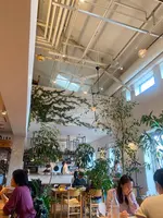 SØHOLM（スーホルム）の写真・動画_image_413666