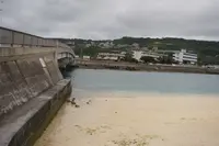 中本鮮魚店てんぷらの写真・動画_image_413841