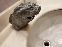 首里城の写真・動画_image_413849