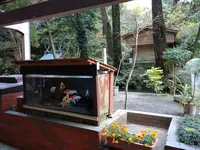 唐船峡そうめん流し市営の写真・動画_image_413876