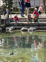 平間寺（川崎大師）の写真・動画_image_413891
