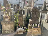 宗三寺の写真・動画_image_413921